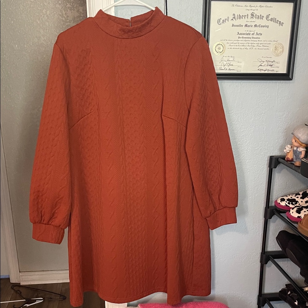 Textured Rust Orange Dress with Long Sleeves